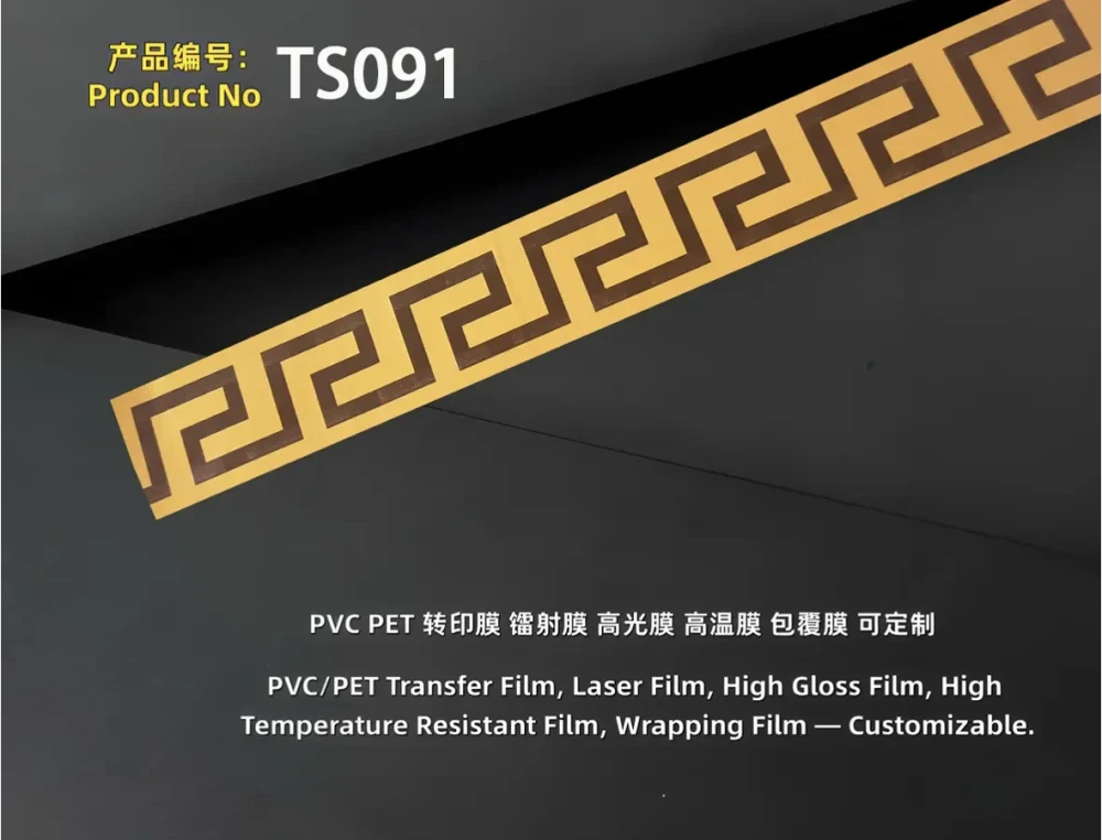 TS091