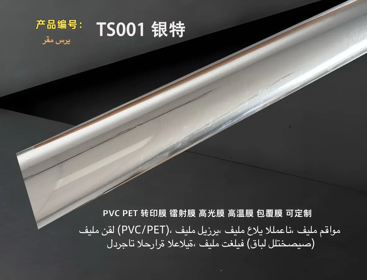 TS001