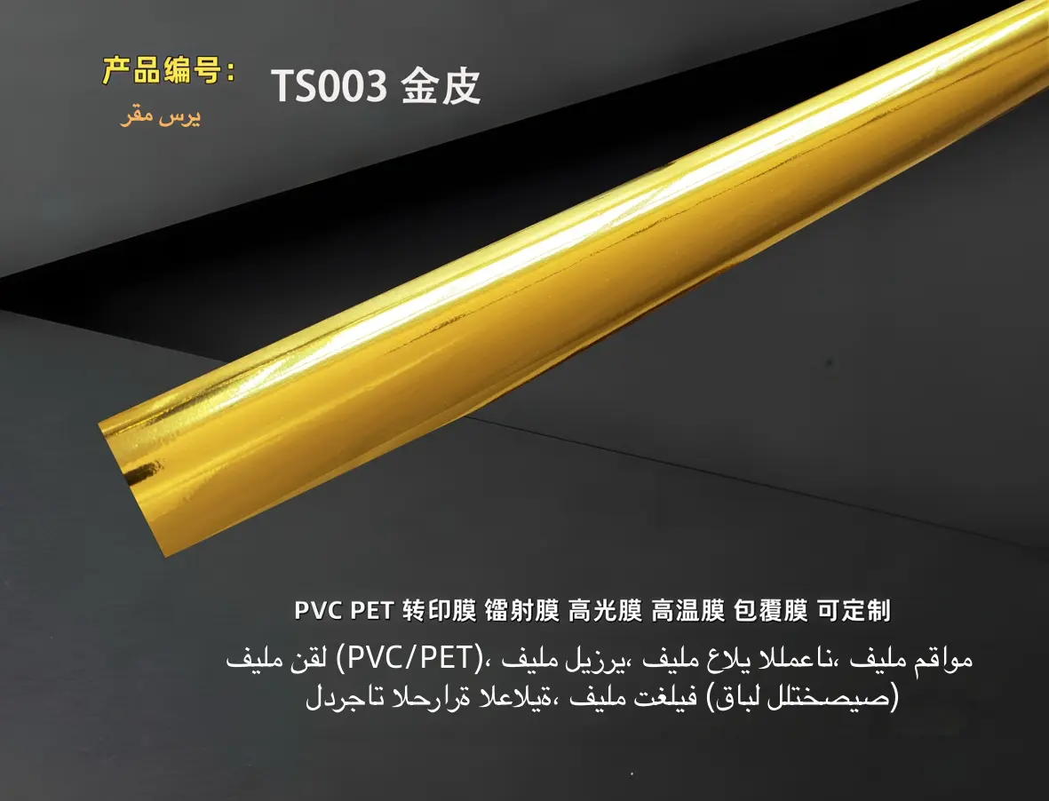 TS003