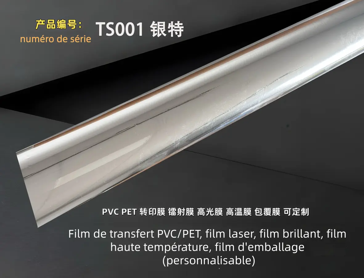 TS001