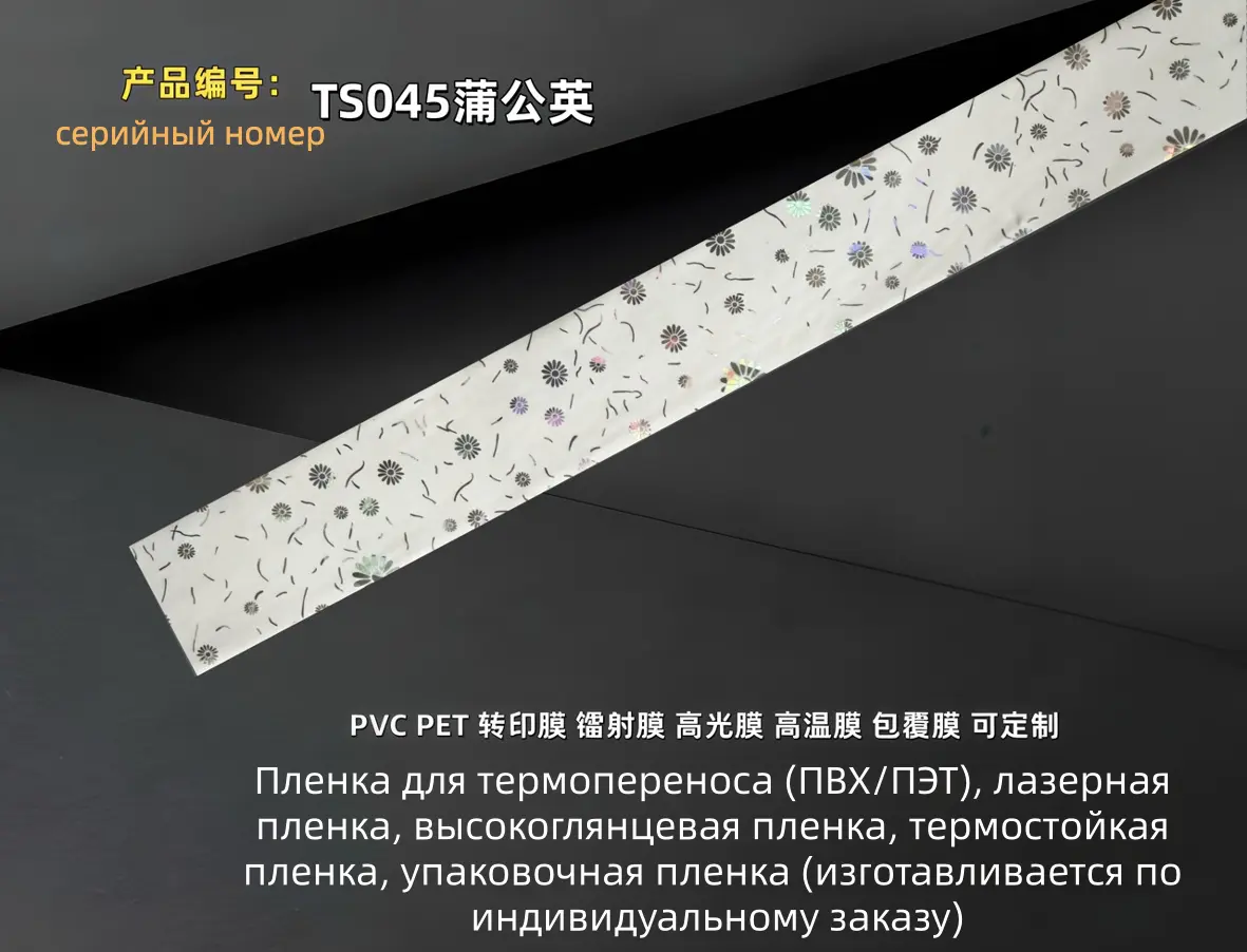 TS045