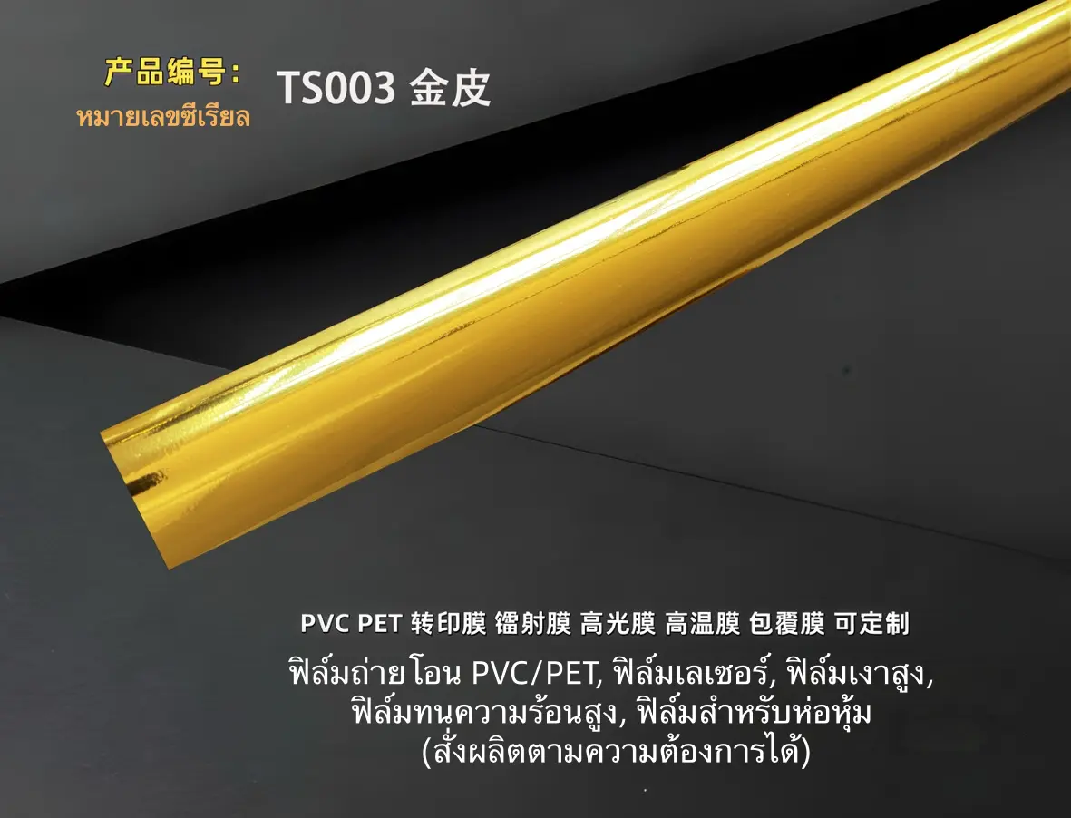 TS003