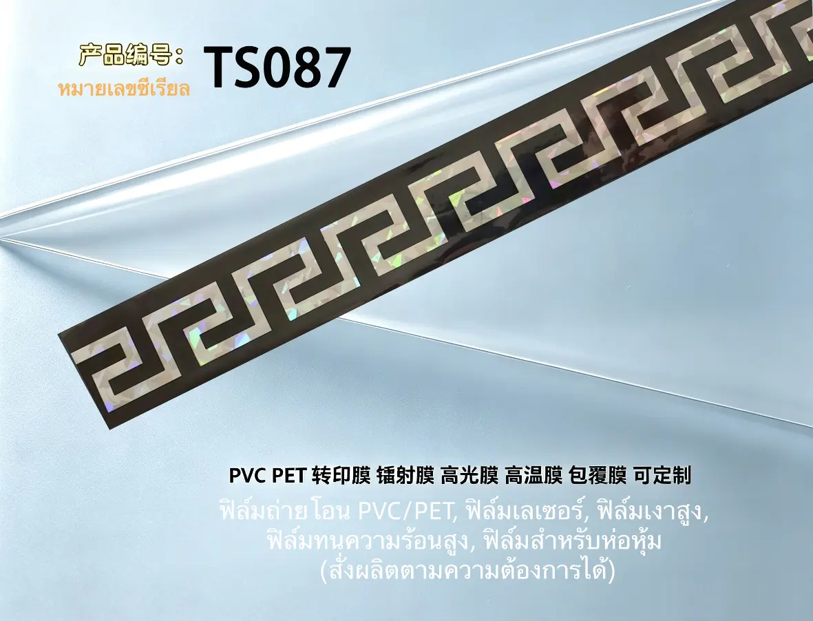 TS087