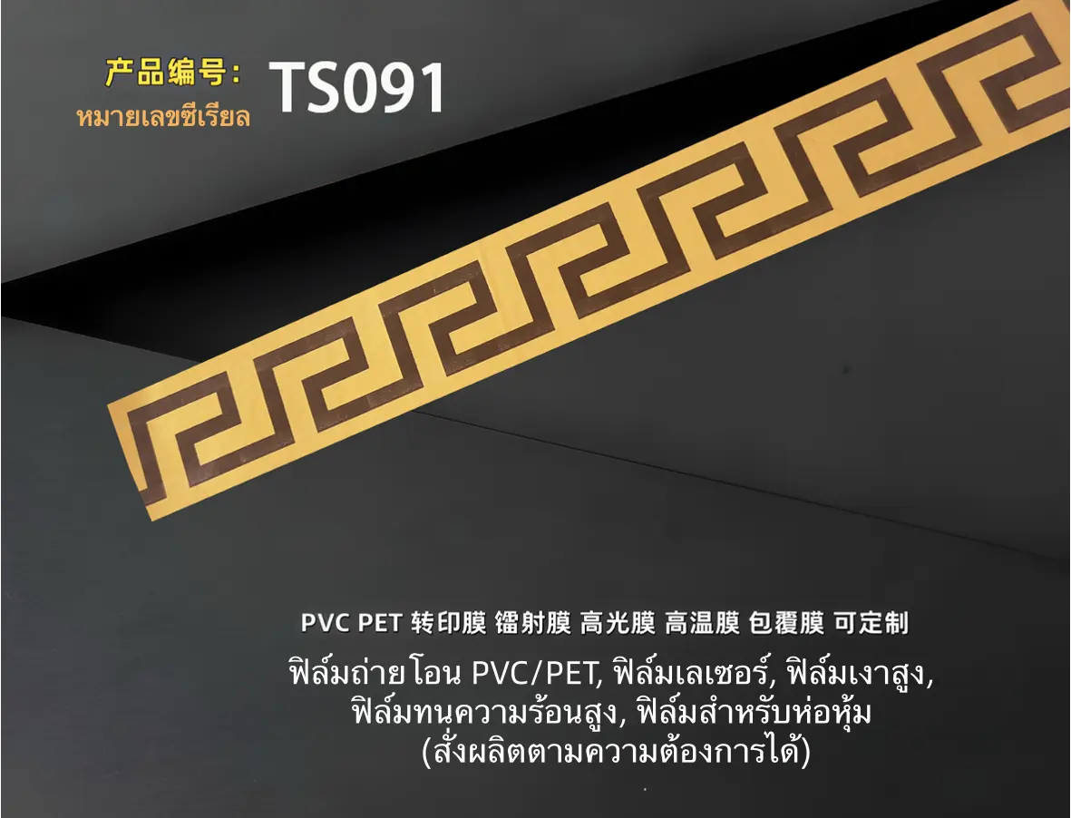 TS091